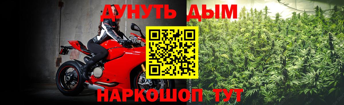 Бошки Шишки Amnesia Ачхой-Мартан
